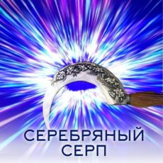 Настройка: "СЕРЕБРЯНЫЙ СЕРП"