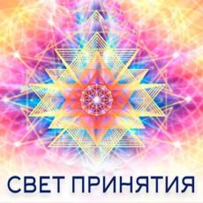 Настройка: "СВЕТ ПРИНЯТИЯ"
